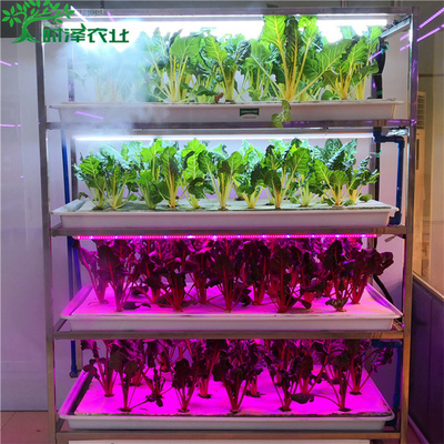 室内家庭蔬菜种植植物工厂 智能无土栽培种植架 时泽农业