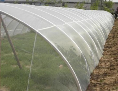 蔬菜大棚防虫网批发厂家图片|蔬菜大棚防虫网批发厂家产品图片由河北天涛丝网销售服务部公司生产提供-