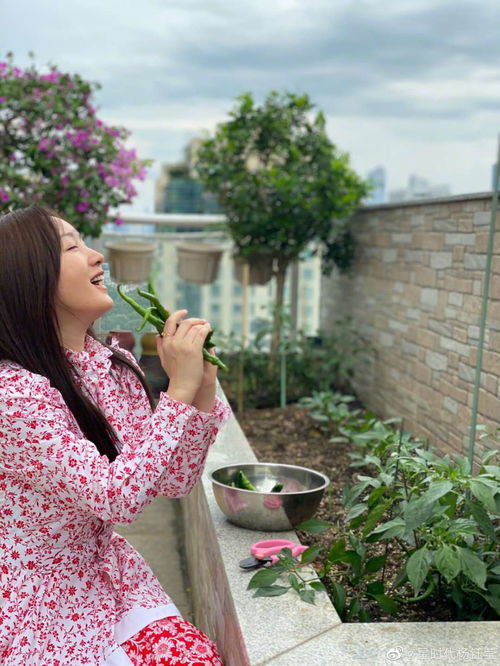 错爱一人至今单身,从甜歌天后到隐退种菜,杨钰莹的人生很不简单