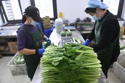 工人在车间分拣、包装蔬菜。新京报记者 王颖 摄