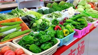城事丨阿左旗12月中旬蔬菜价格上涨其他主要食品价格有升有降