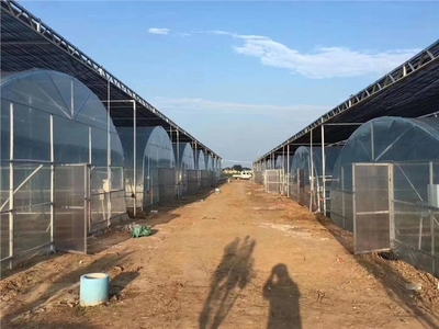 衡阳连栋温室大棚厂价格,报价