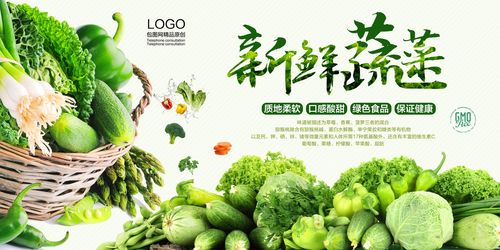 新鲜蔬菜新鲜蔬菜宣传海报 创意海报 下载至来源处