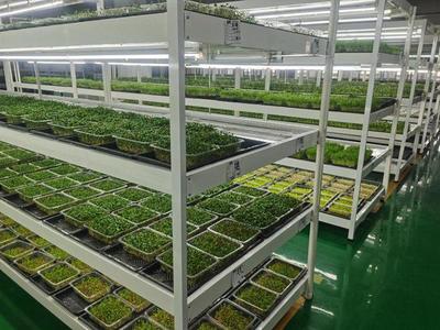 吉林雄飞科技:汇聚科技力量 创新赋能高质量发展