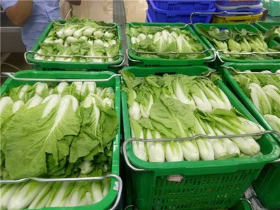 大岭山饭堂承包餐配送公司 工厂食堂承包公司 提供经济实惠营养健康餐饮服务