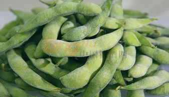 山东青果食品