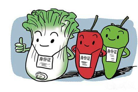 全面推进农产品质量安全市场准入时机已到
