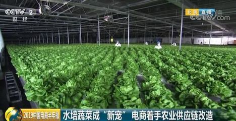 618背后:90后不要防脱洗发水改买假发 00后则抗衰老