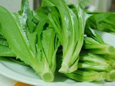 蔬菜制品商家 企讯网蔬菜制品商家