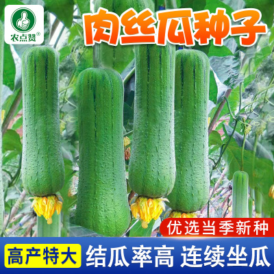 丝瓜种子好货前5位产品点评(2024-10)