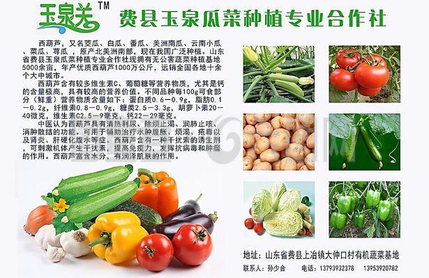 蔬菜产品宣传彩页图片
