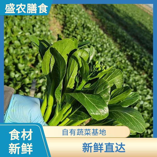东莞虎门镇饭堂承包生鲜食材供应商 单位学校食堂蔬菜配送